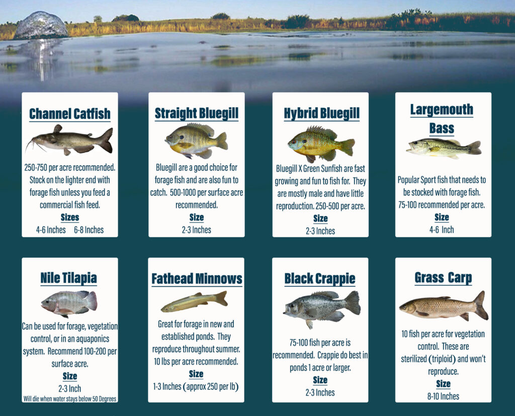 Fish Species & Stocking Guide – Moore's Fish Farm ®